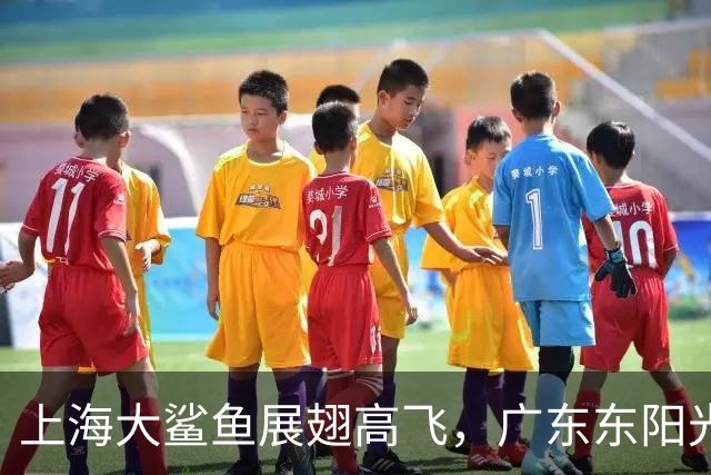 上海大鲨鱼展翅高飞，广东东阳光无奈“自愧不如